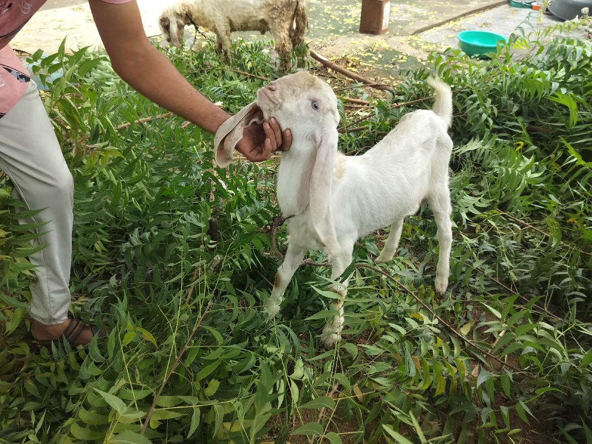 થંબનેલ 2