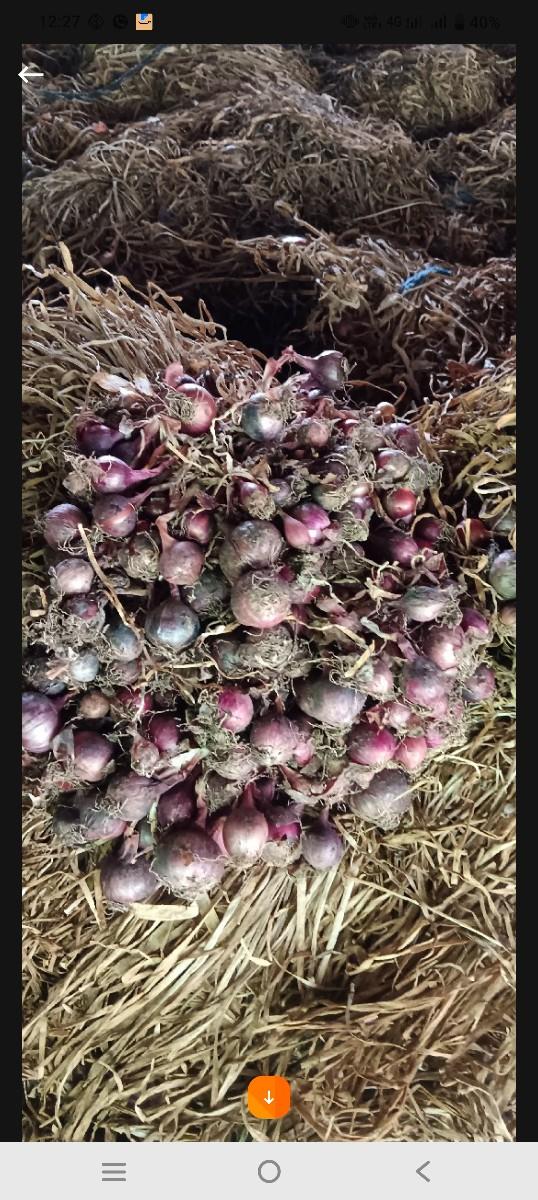 કાજી રોપ વેસ્વાનો છે