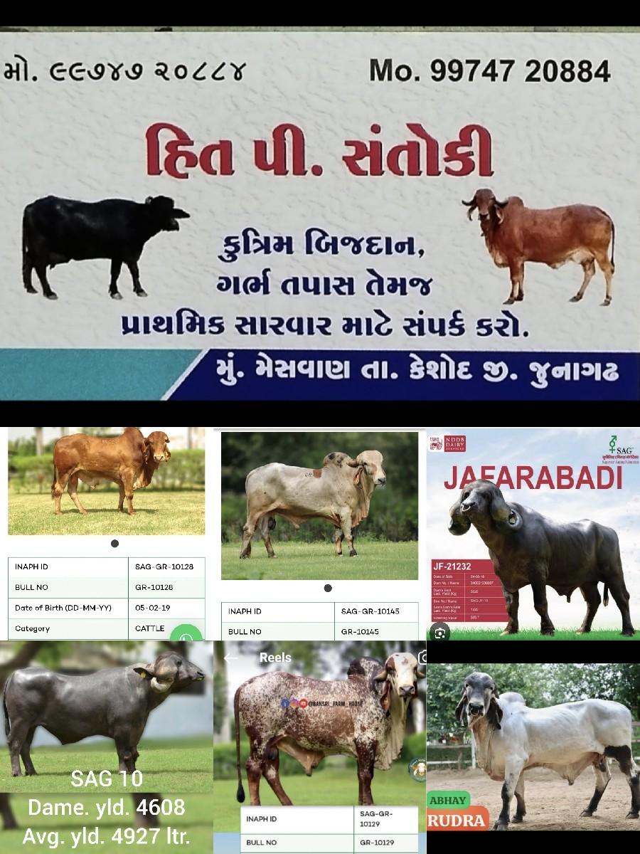 थंबनेल 6