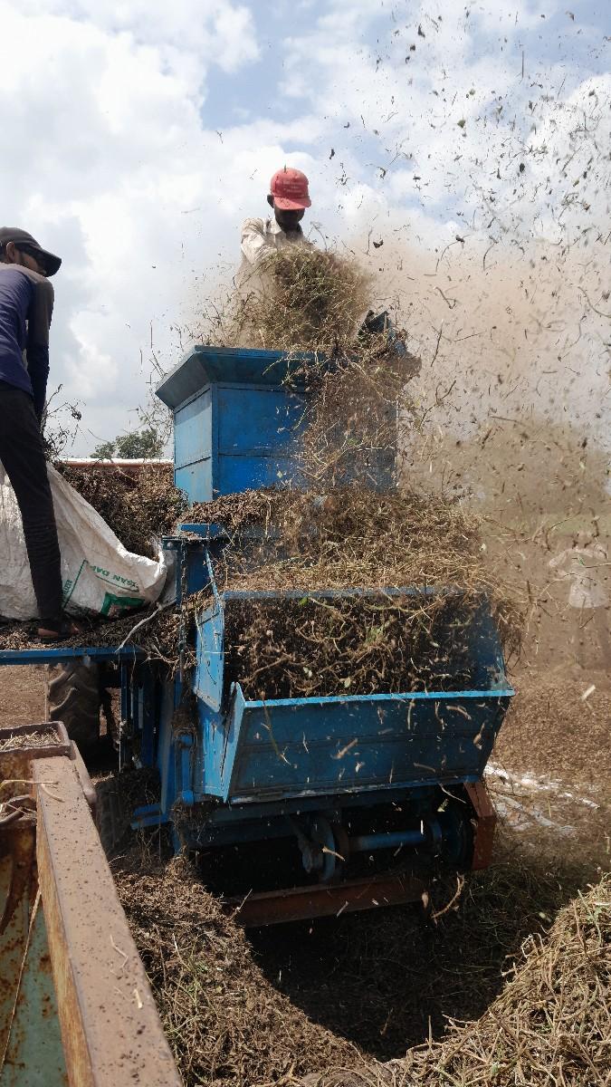 જયંત નુ થેસર વેચવાનુ છે