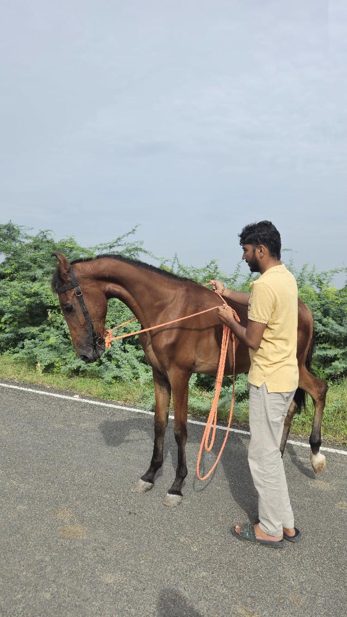 थंबनेल 2