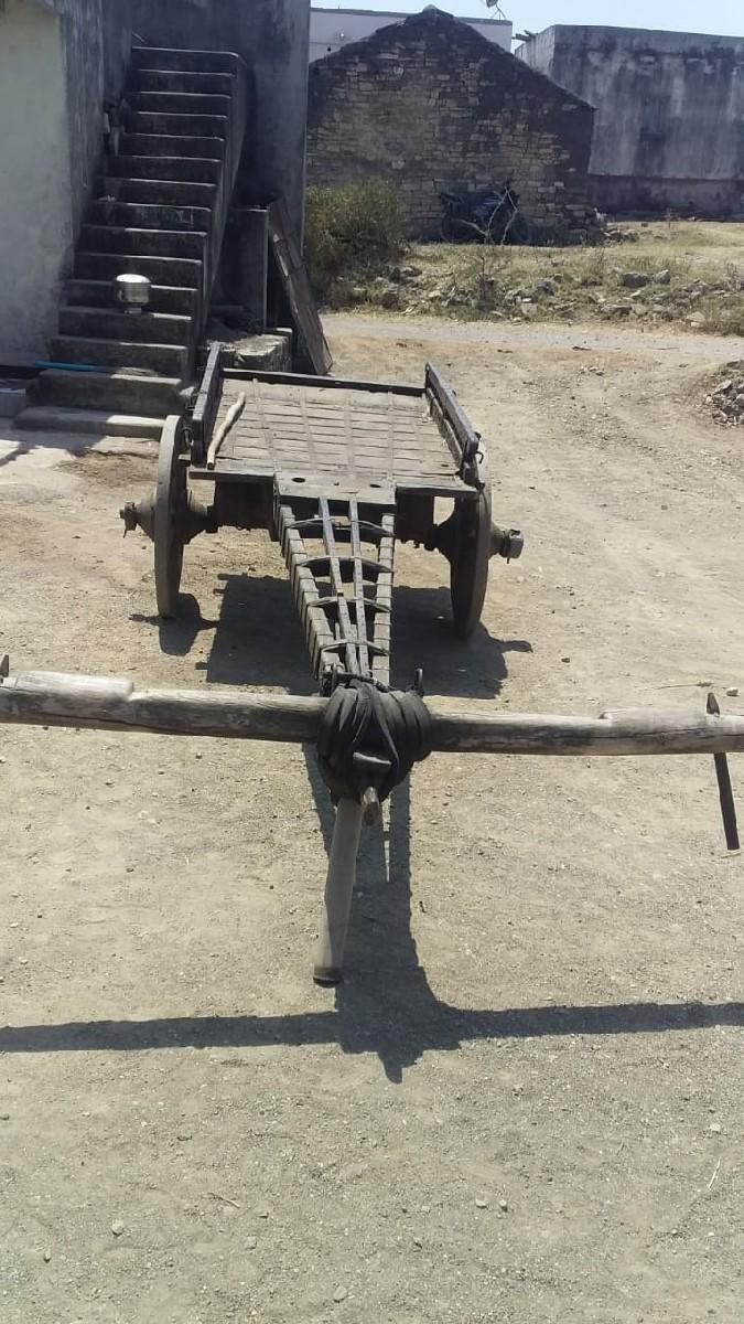 થંબનેલ 3