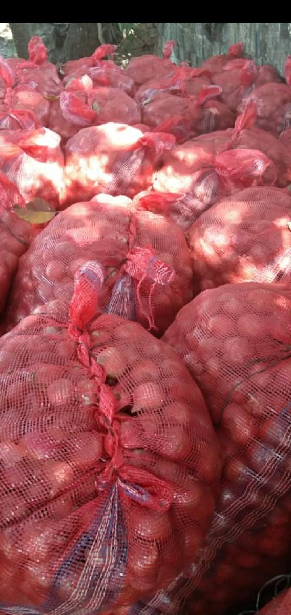 ડુંગરીનું બી