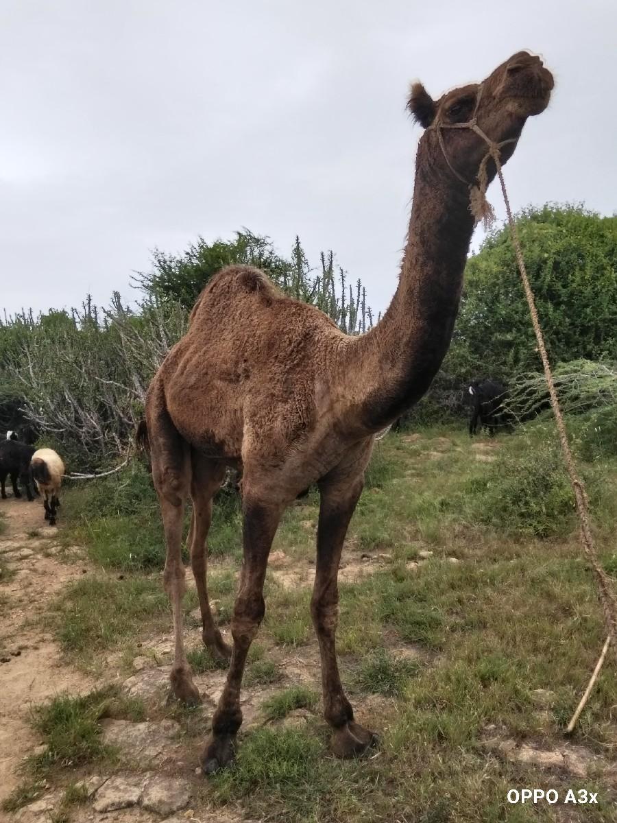 થંબનેલ 2