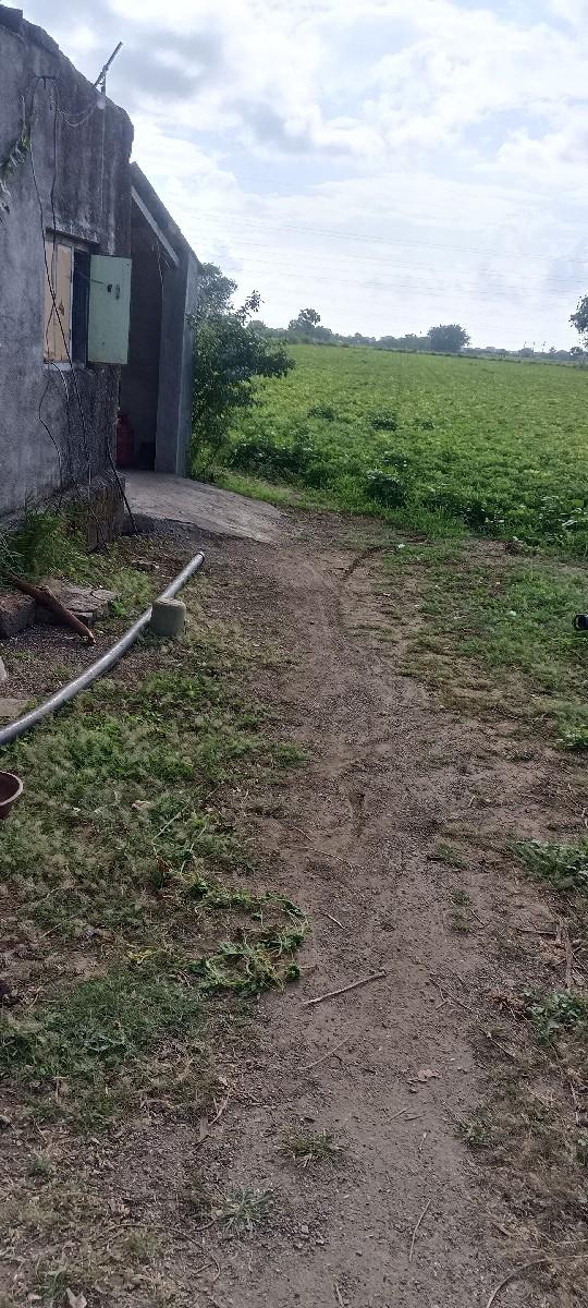 थंबनेल 3