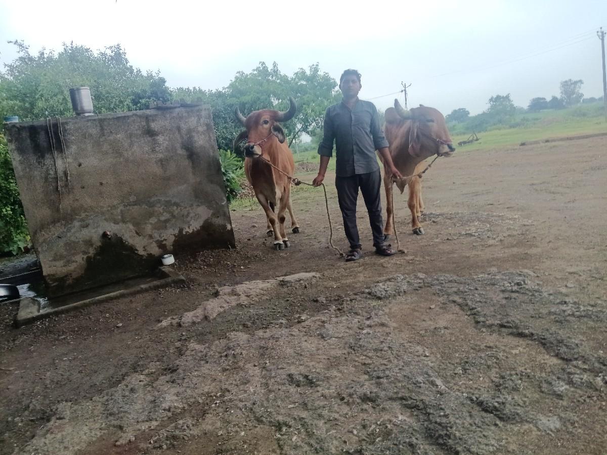 थंबनेल 2