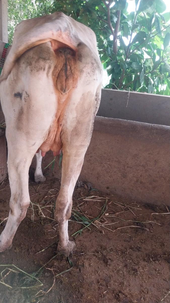 थंबनेल 2