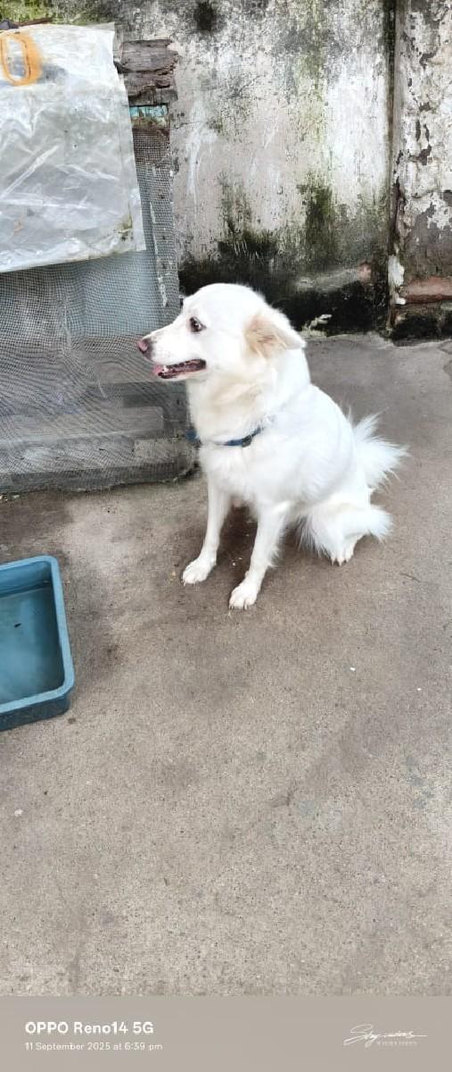 વેચવું છે સાટા પણ કરવા