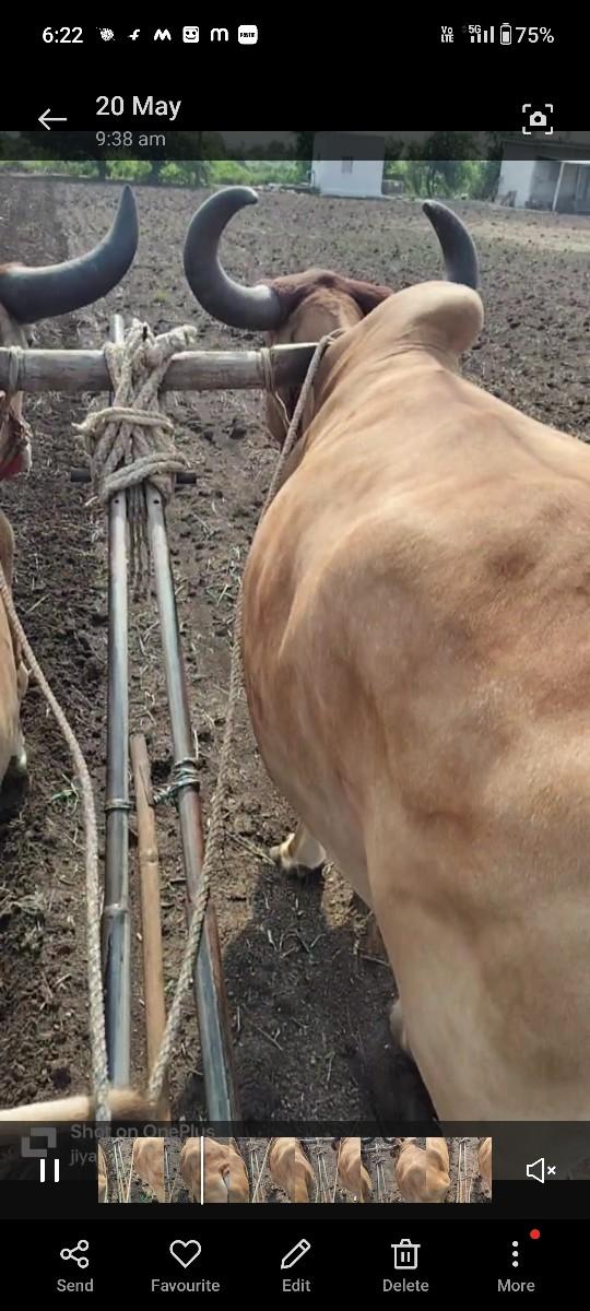 थंबनेल 3