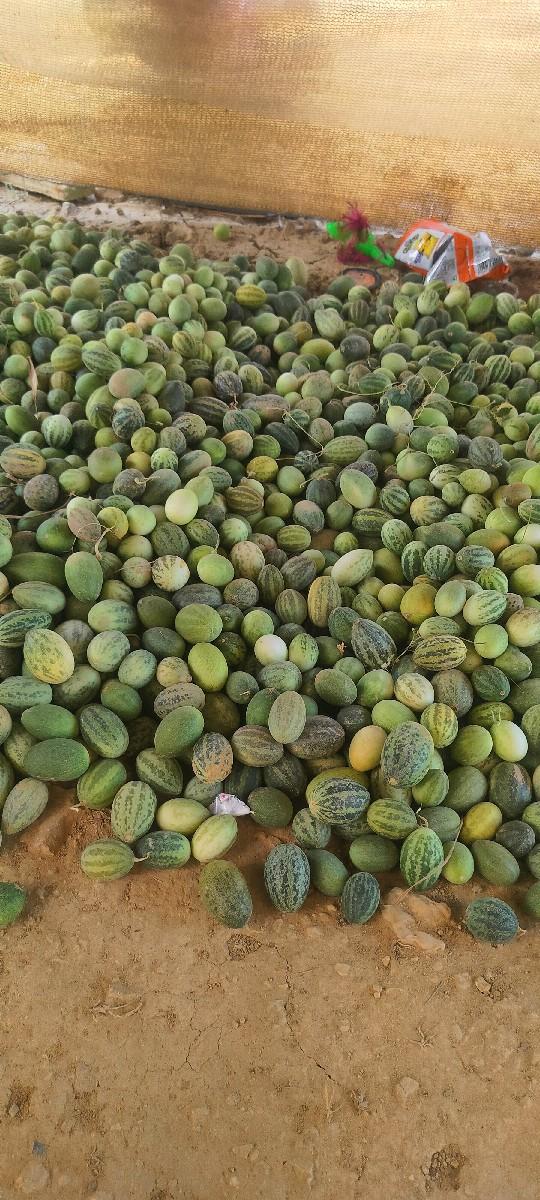 થંબનેલ 2