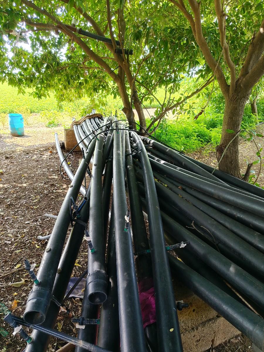 ટપક લાઇન વેચવાની છે