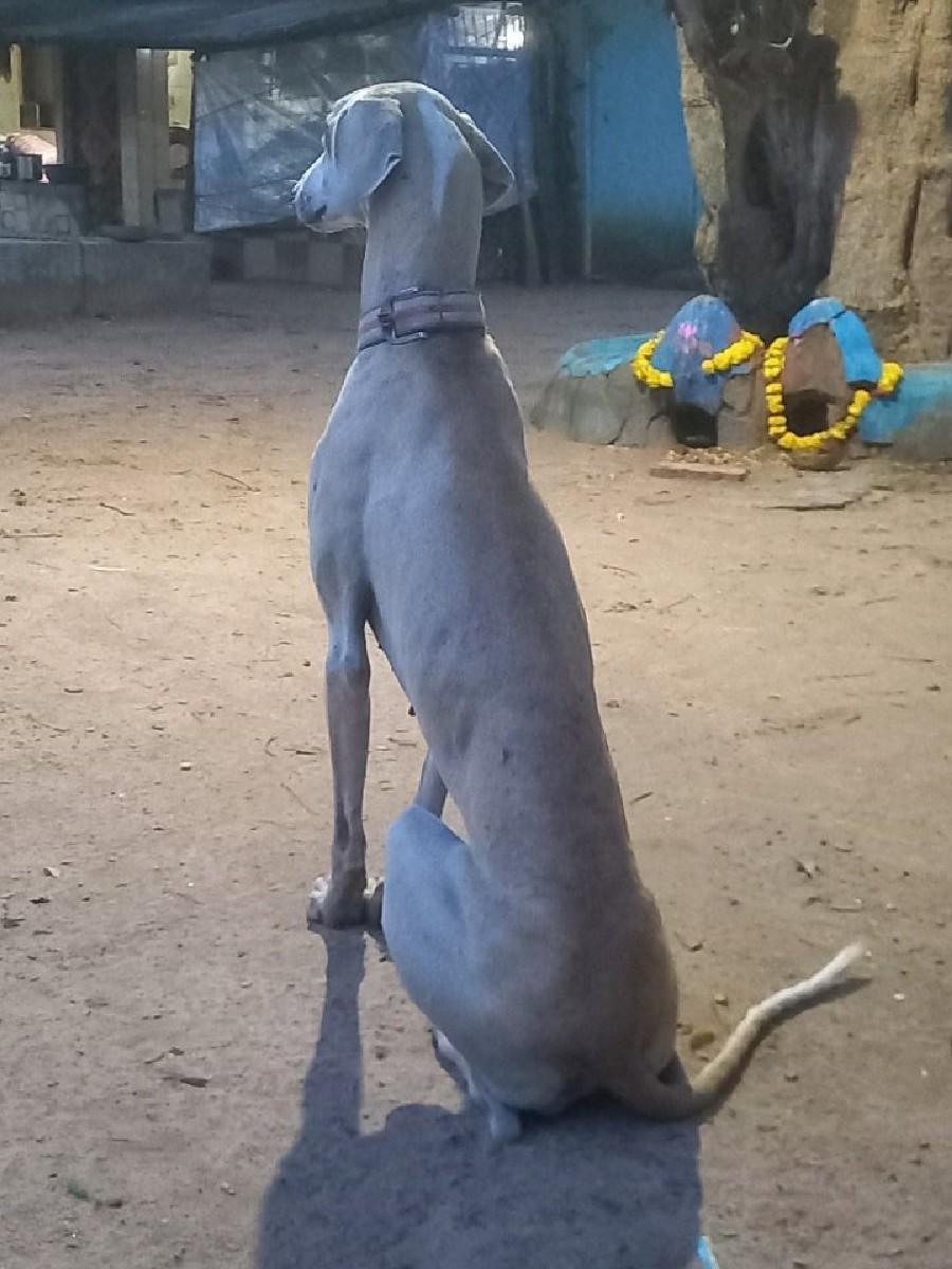 થંબનેલ 3