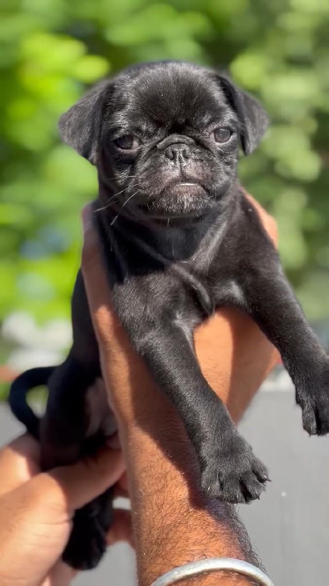 થંબનેલ 3