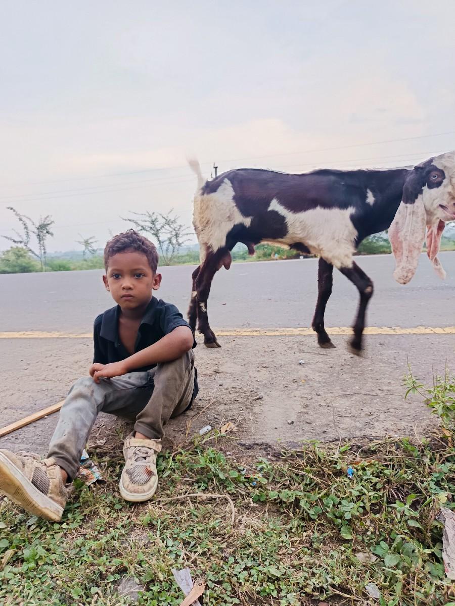 थंबनेल 3