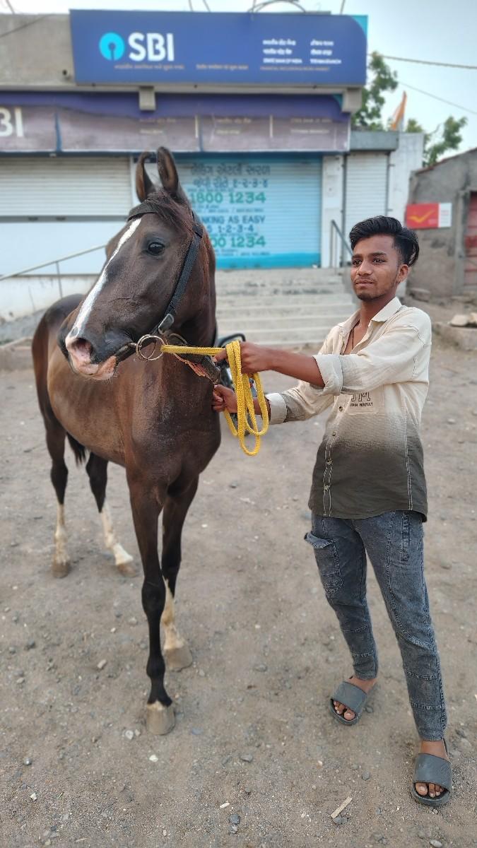 થંબનેલ 3