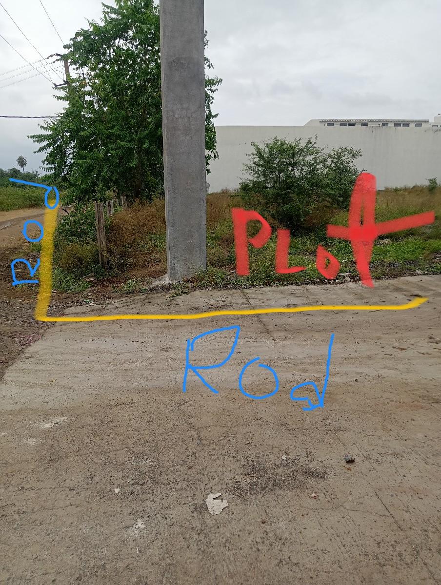 થંબનેલ 2