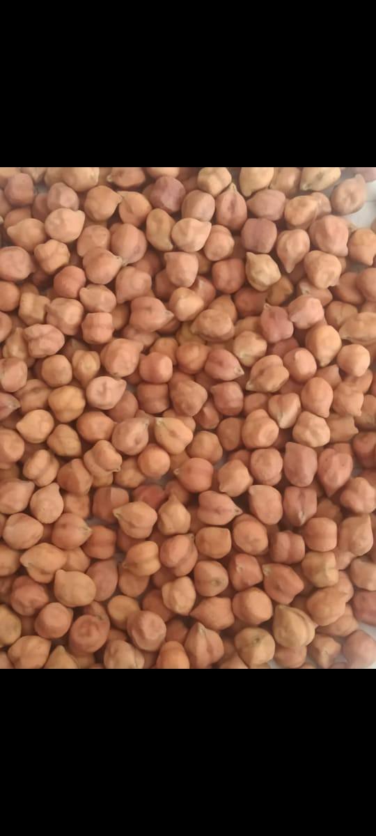 3 નંબર ચણા નું બિયારણ વેચવાનું છે