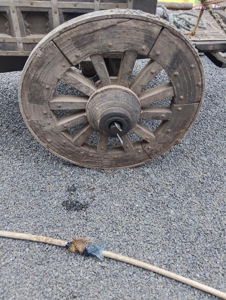 थंबनेल 2