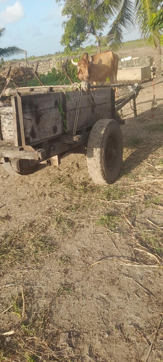 રેકડો વેચવાનો છે