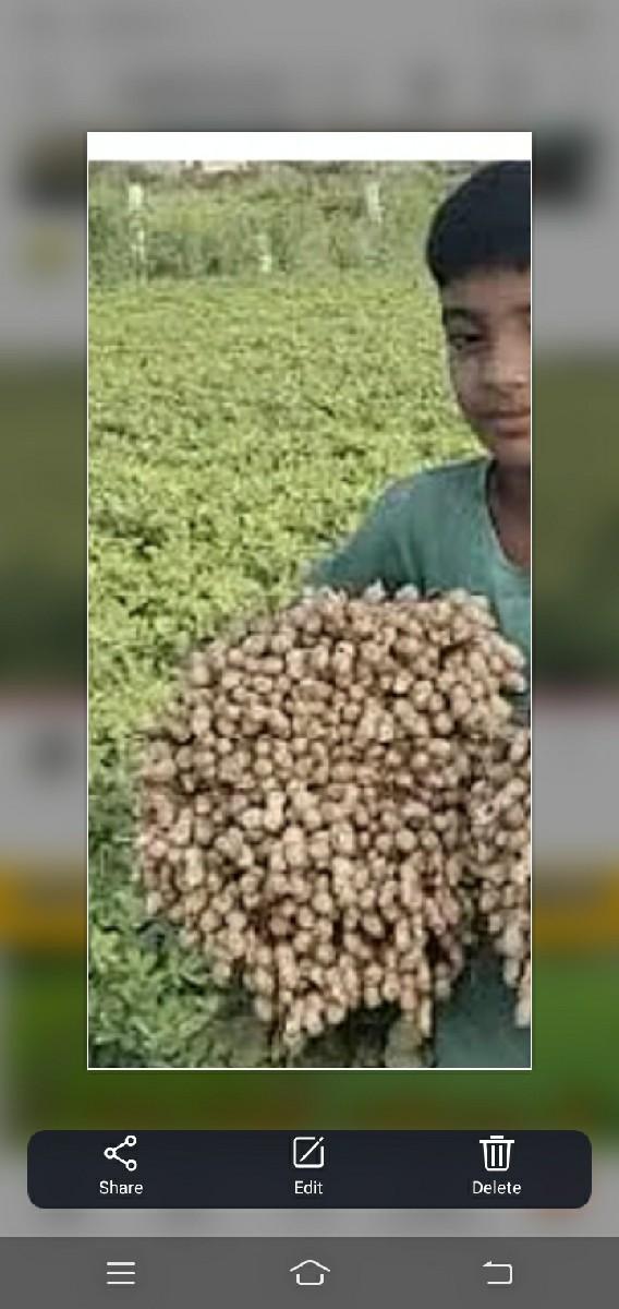 મગફળી નો ભૂકો આપવાનો છે