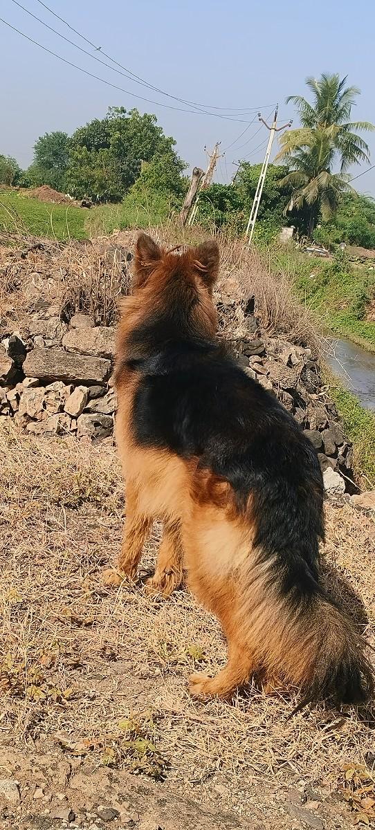 મિટિંગ માટે છે વેચવાનો નથી