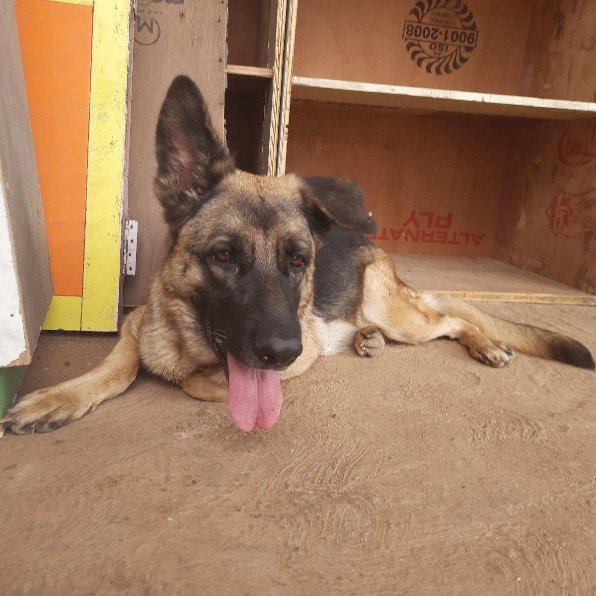 थंबनेल 4