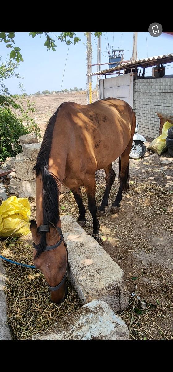 थंबनेल 2