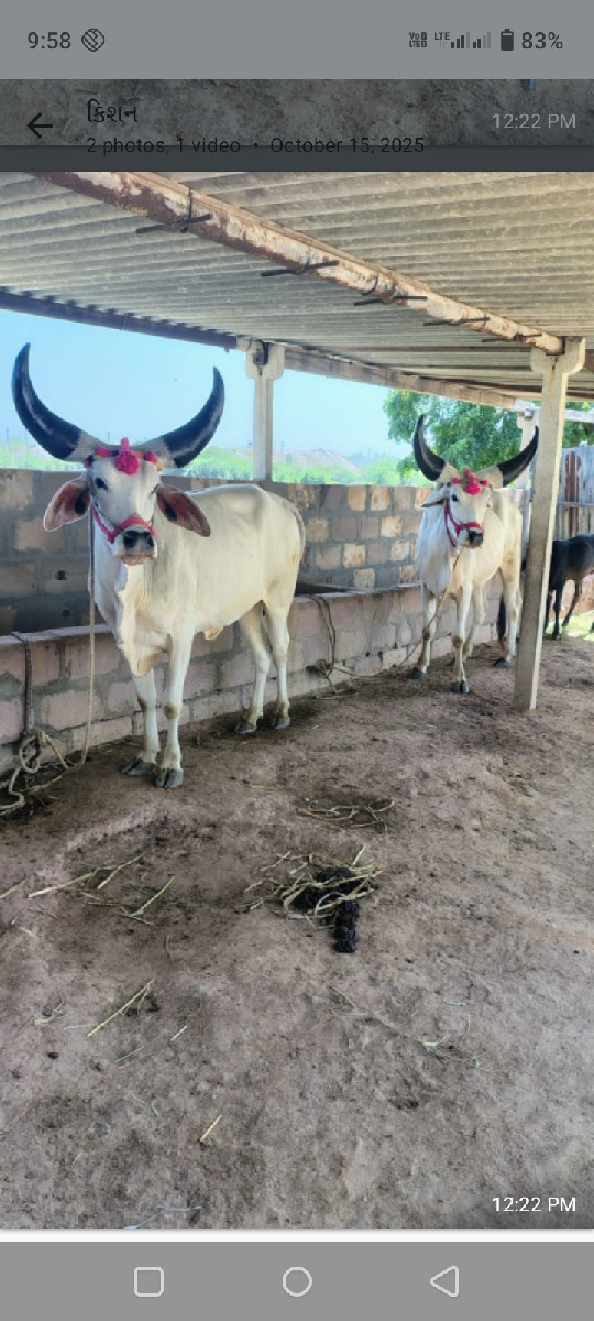 લેવાની ગણતરી હોય ને તો જ ભાઈ ફોન