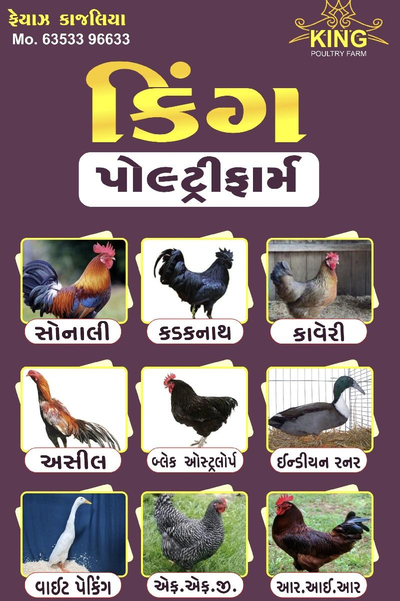થંબનેલ 4
