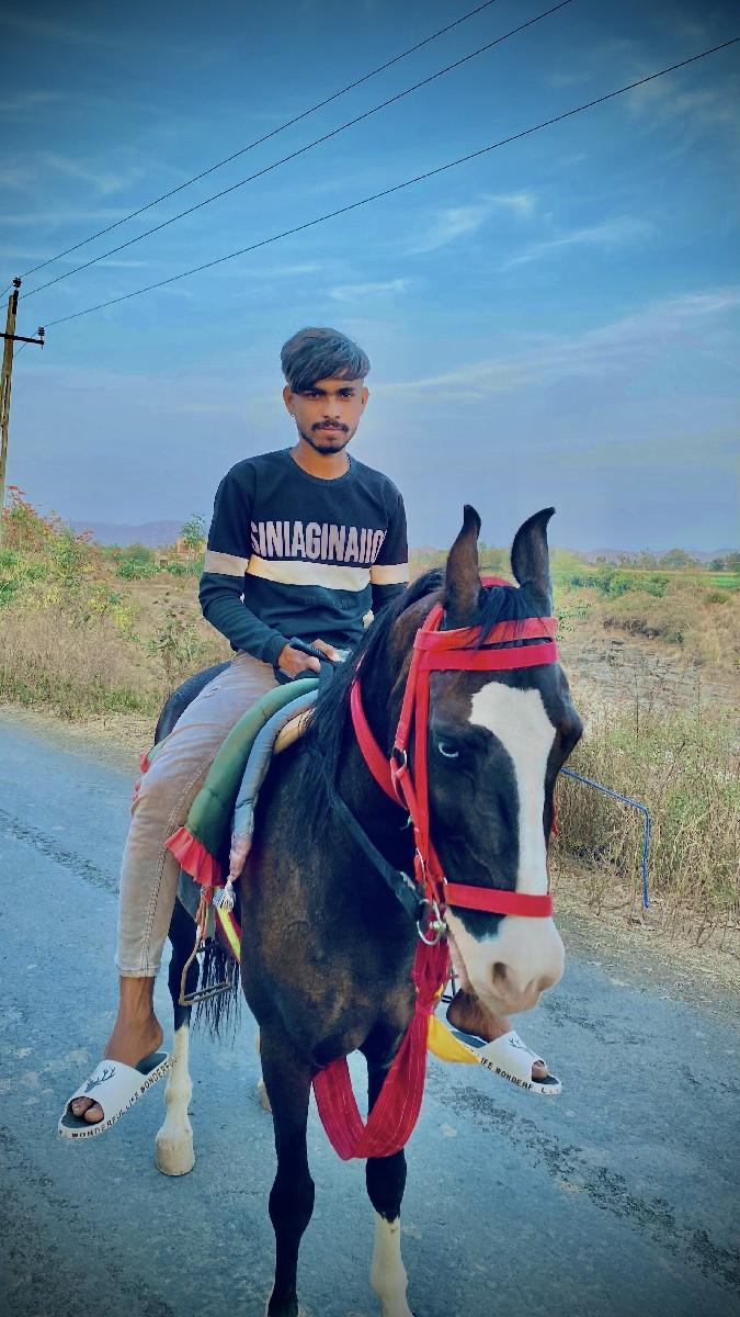 આ ઘોડી વેચવાની છે