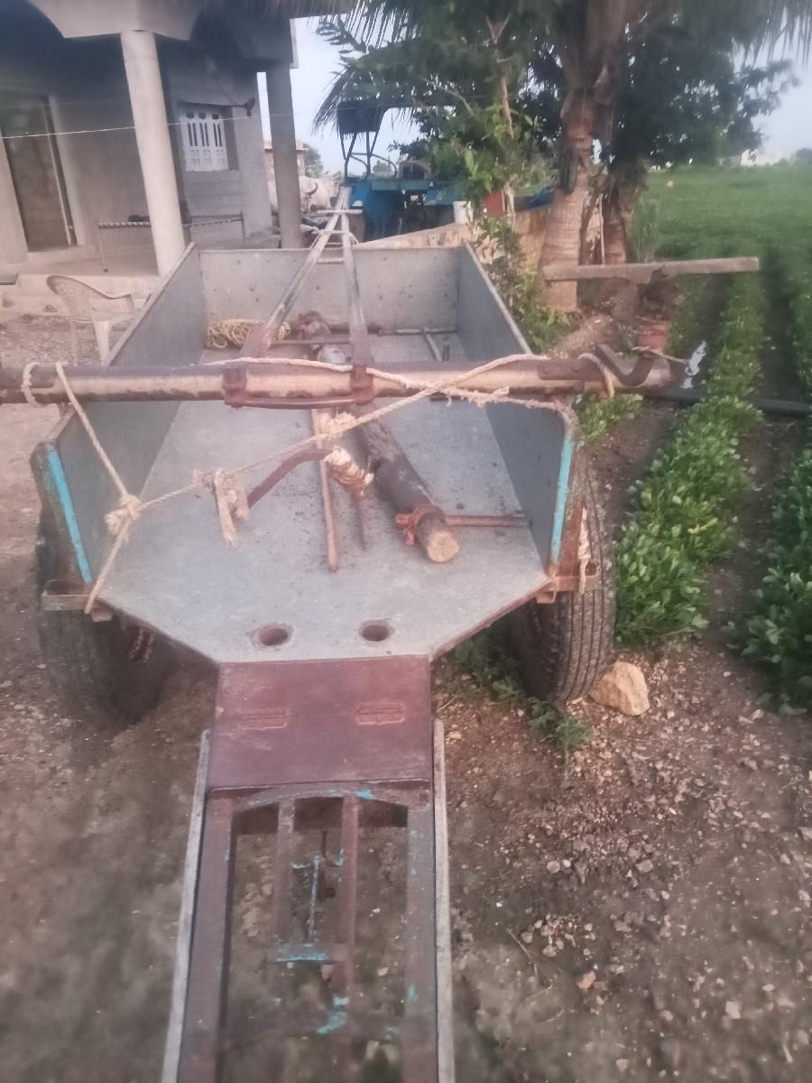 વેશવાનો