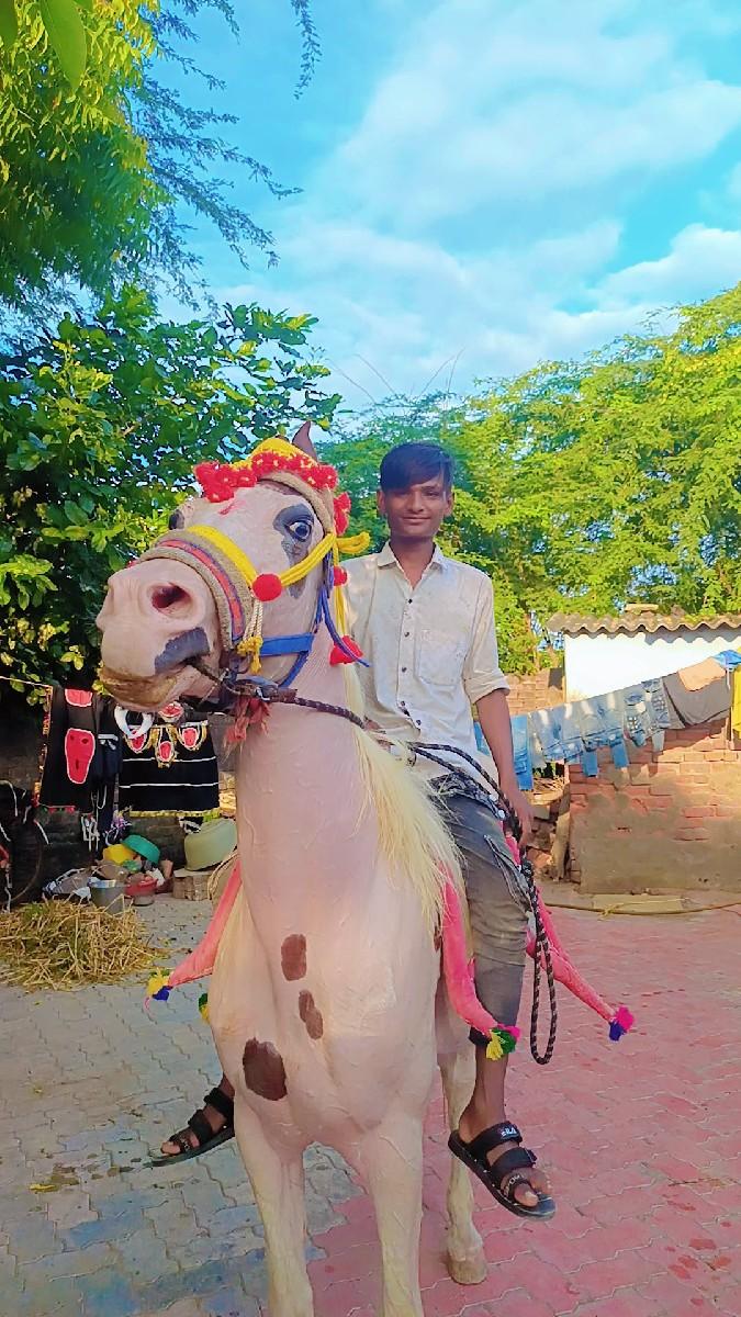 ઘોડી વેચવાની છે