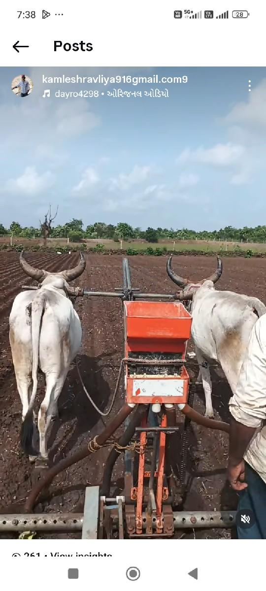 ગોઢલા વેચવા ના છે