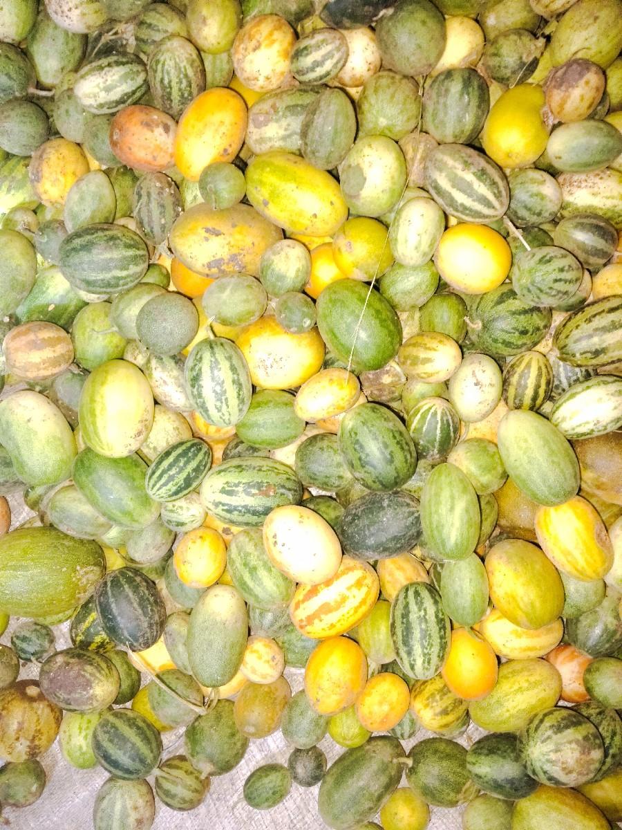 વેચવાના