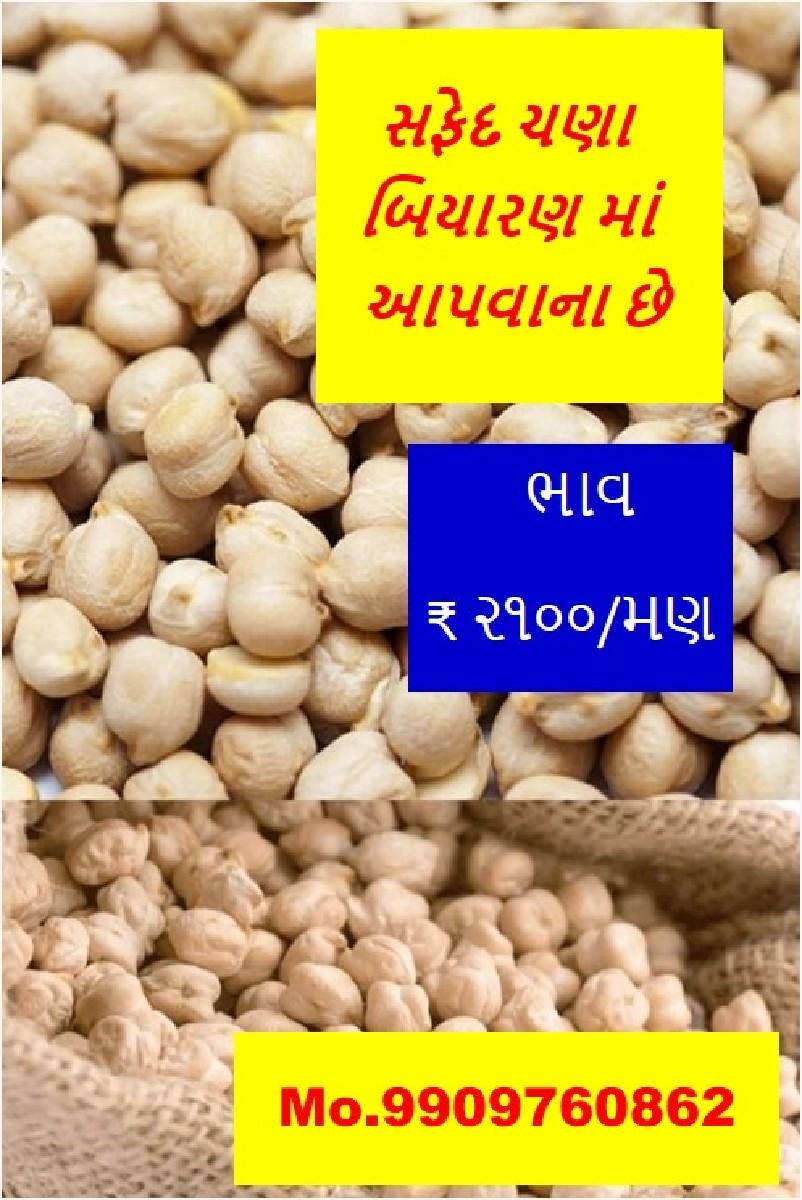 ચણા વેચવાના છે (ધોળા)