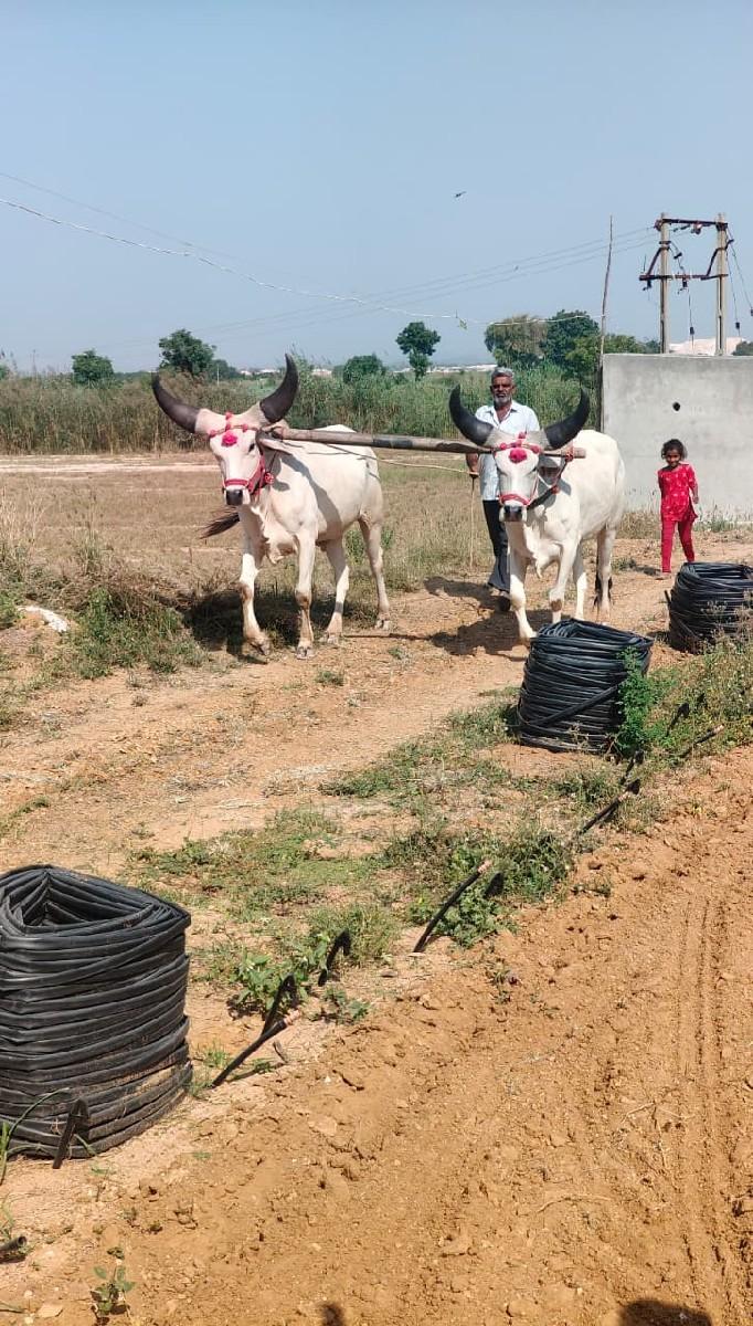 થંબનેલ 3