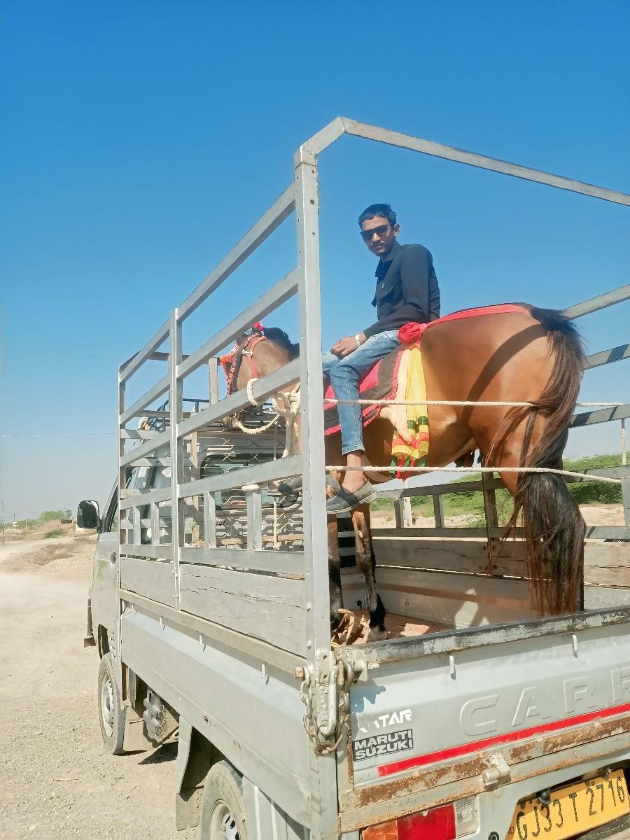 થંબનેલ 2