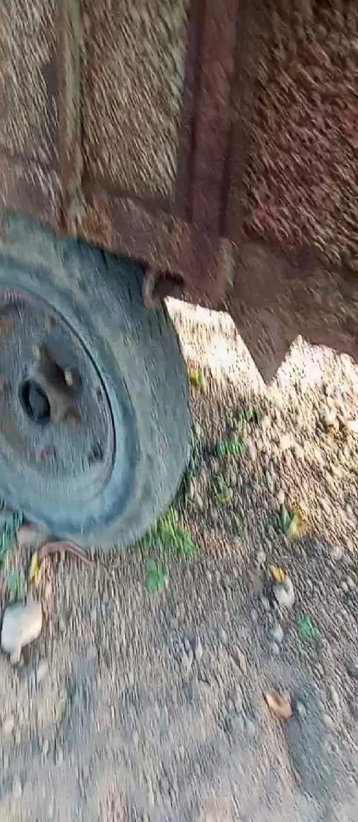 ટ્રોલી વેચવાની છે