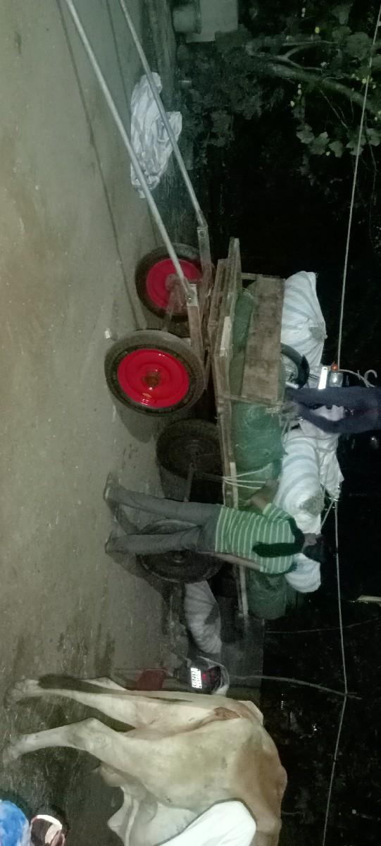 ઉટગાડીવેસવાનિછે