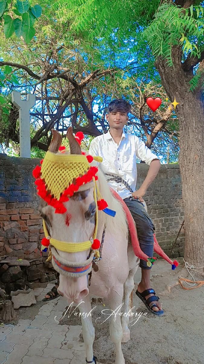 थंबनेल 3