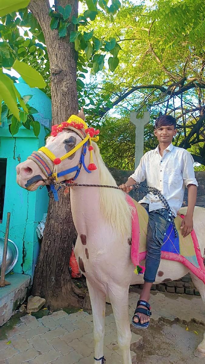 थंबनेल 2