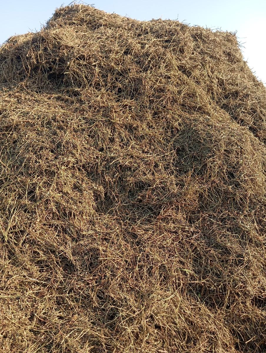 સારોલું વેચવાનું છે