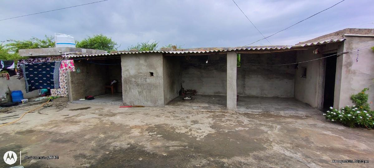 થંબનેલ 3