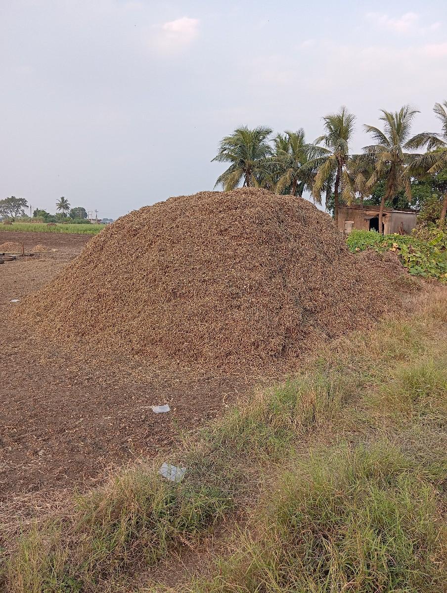 madaviyu, 10vidha nu