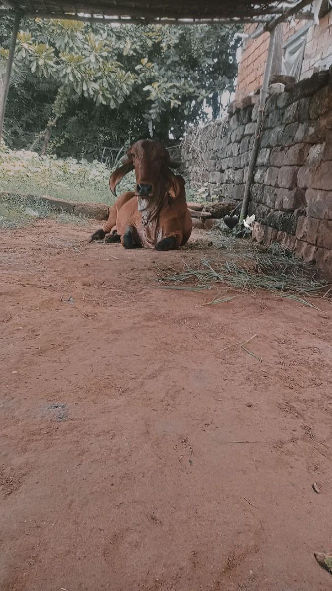 थंबनेल 2