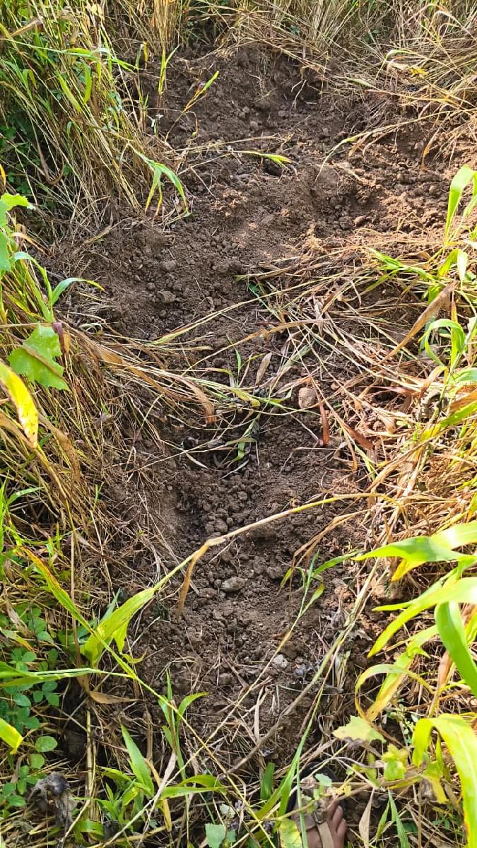 જમીન વેચવાની