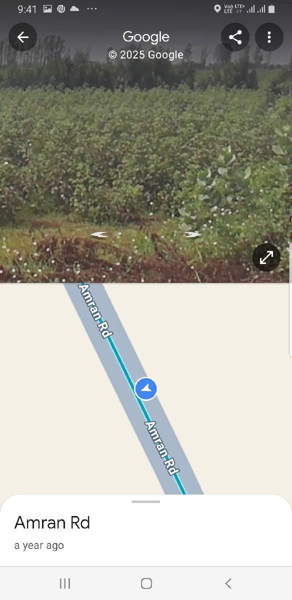 થંબનેલ 2