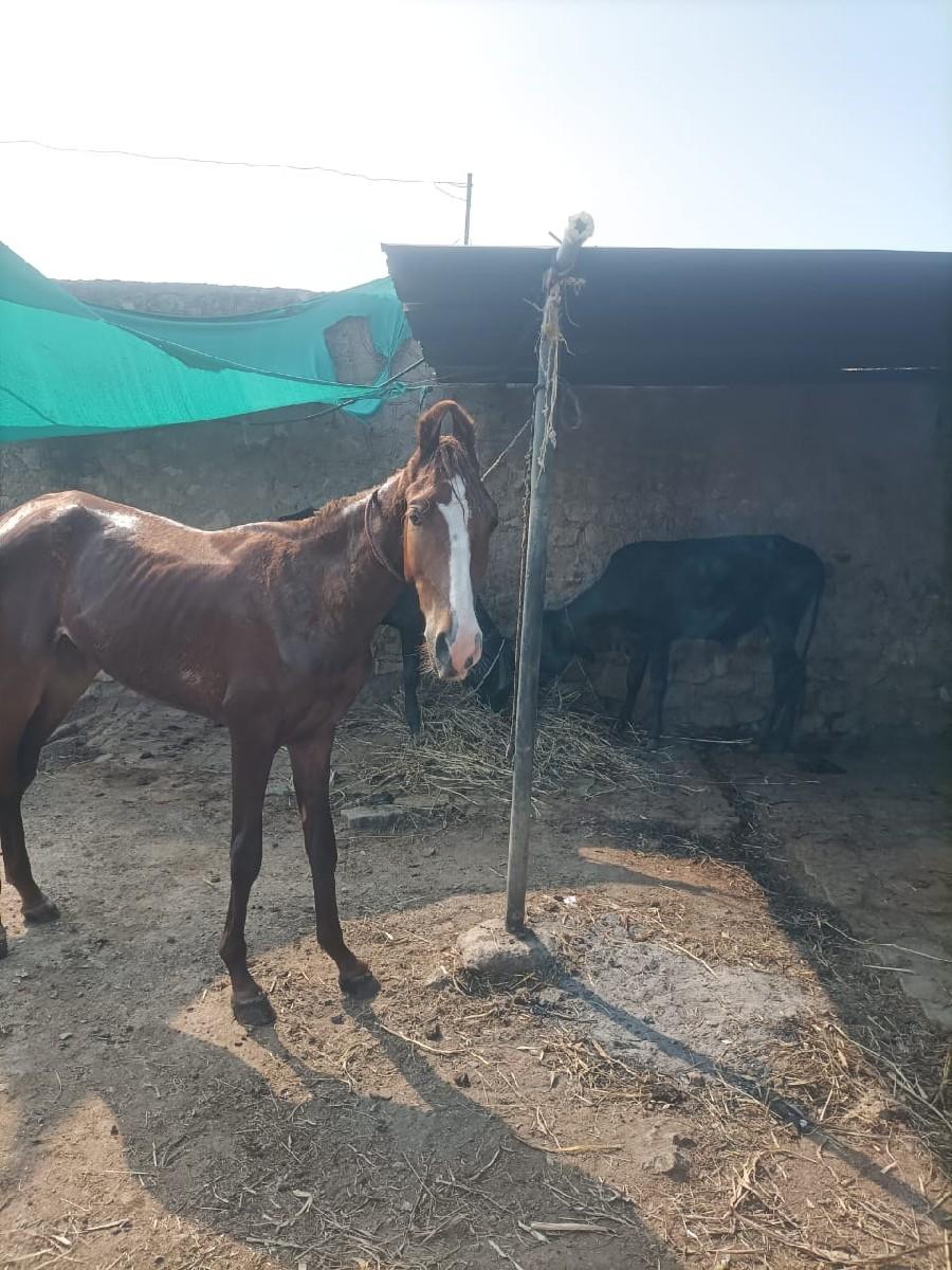 थंबनेल 2