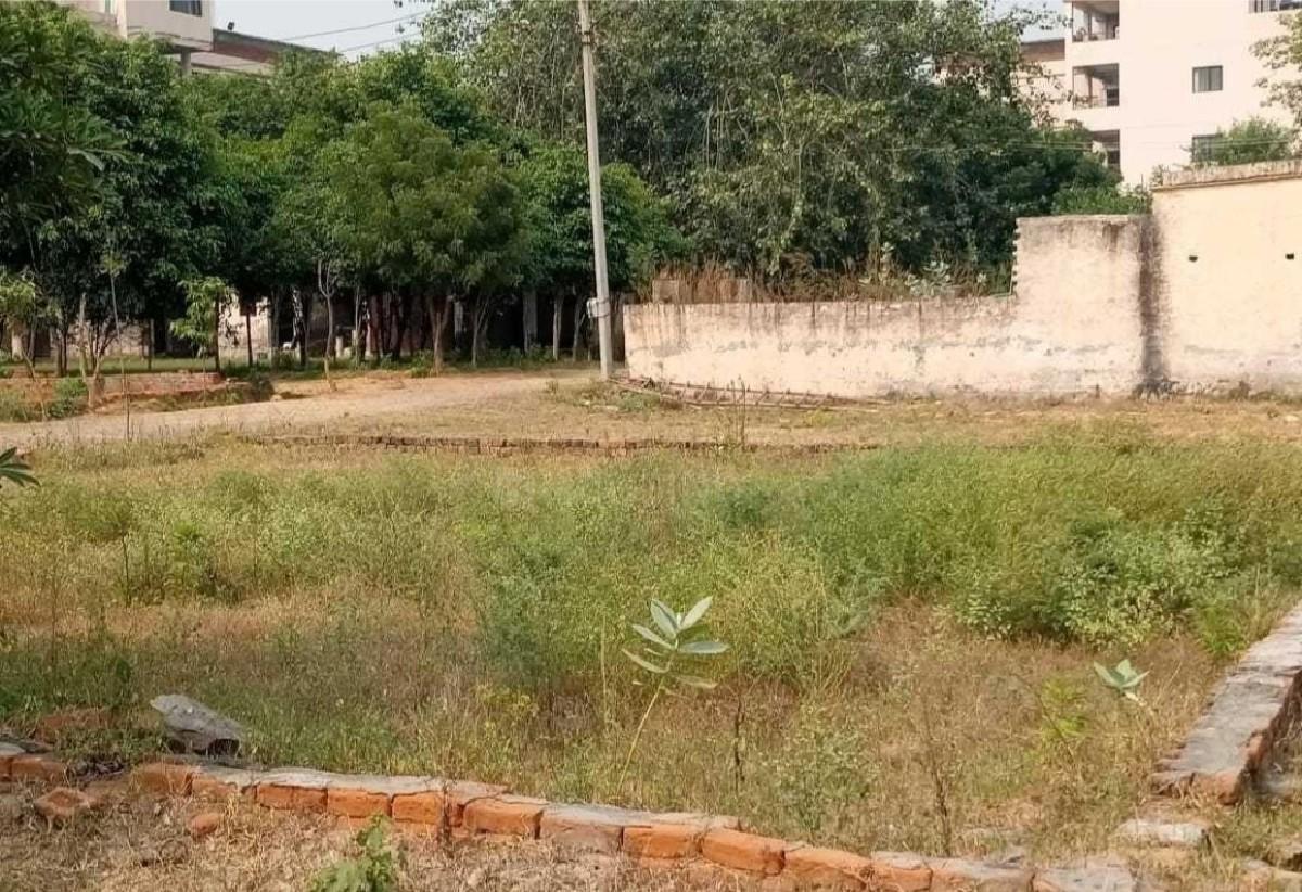 પ્લોટ વેચવાનો છે