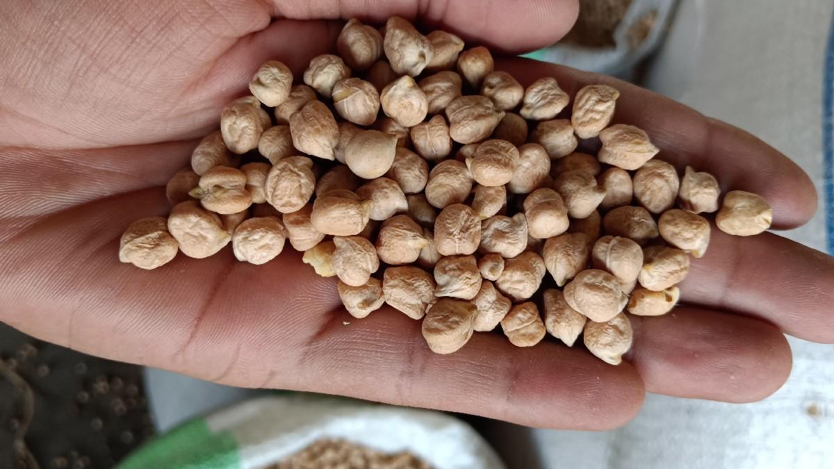 બી ટુ ચણા